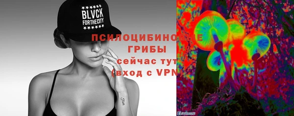 крисы Балахна